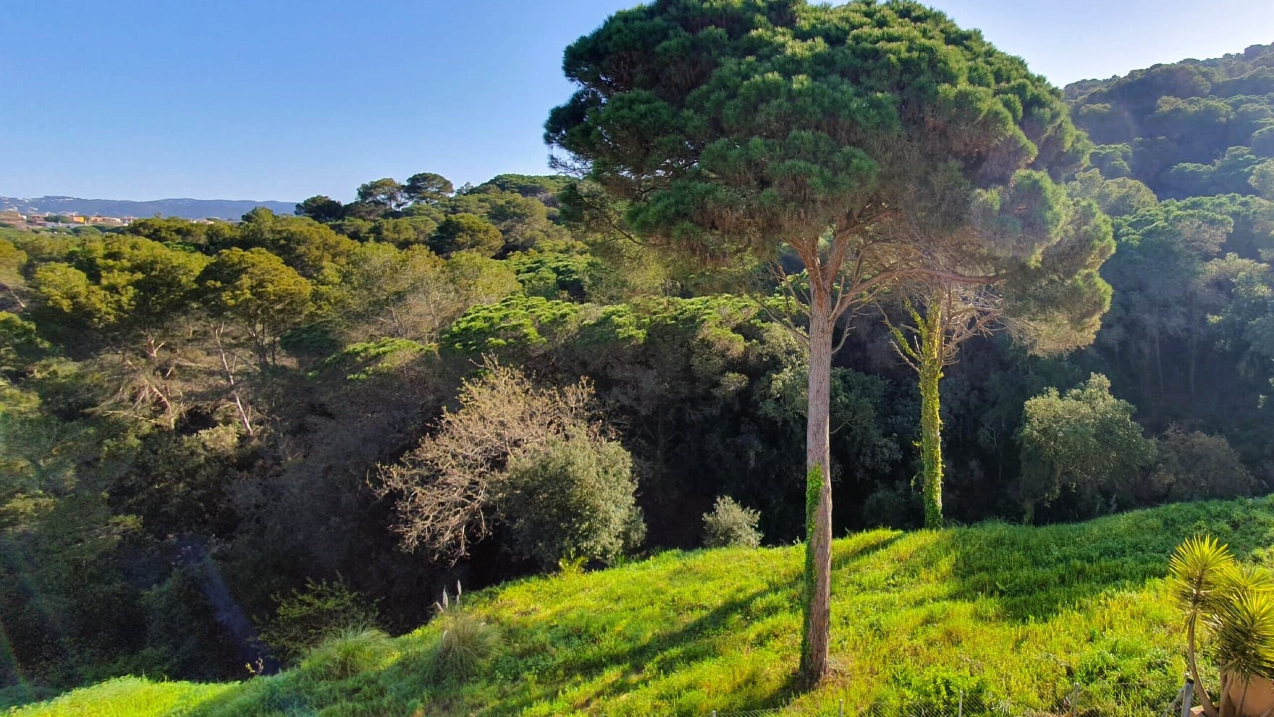 Vakantievilla's Costa Brava Spanje - Villa Fransisca - Een van de weergaven