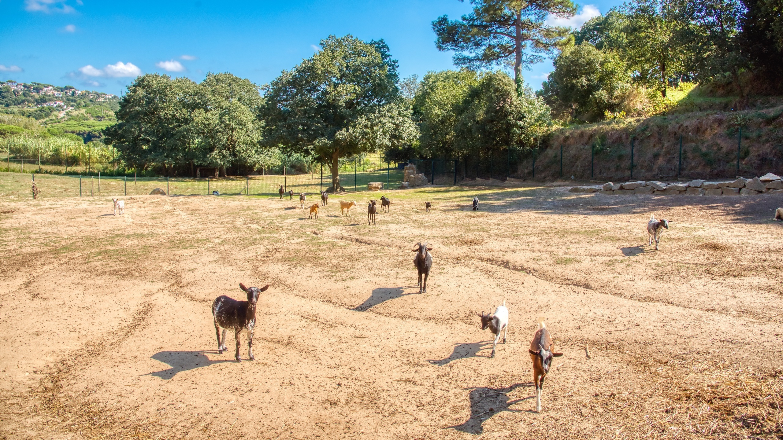 Vakantievilla's Costa Brava Spanje - Villa Paradise - Villa buiten