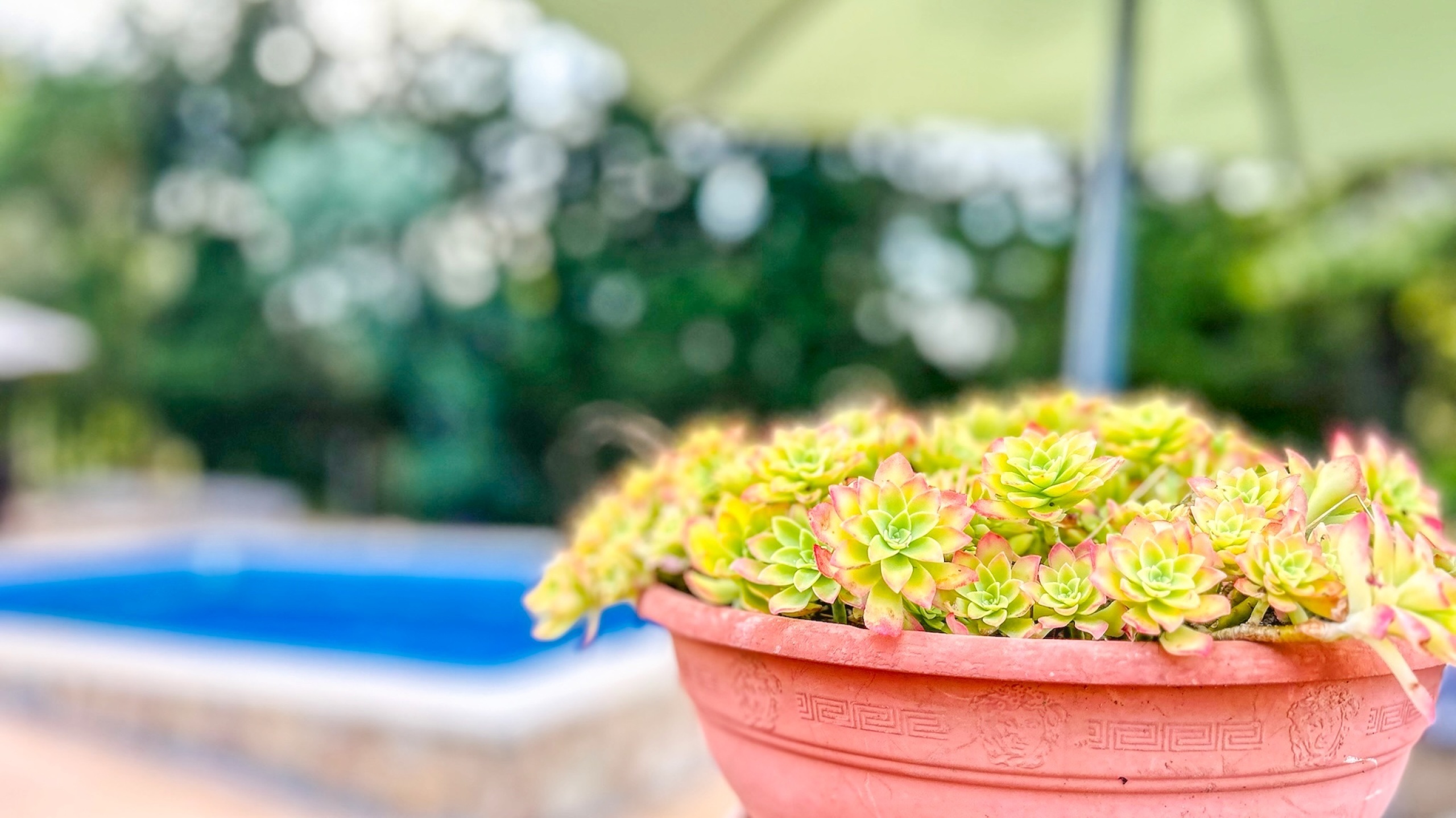 Vakantievilla's Costa Brava Spanje - Villa Iako - Villa buiten